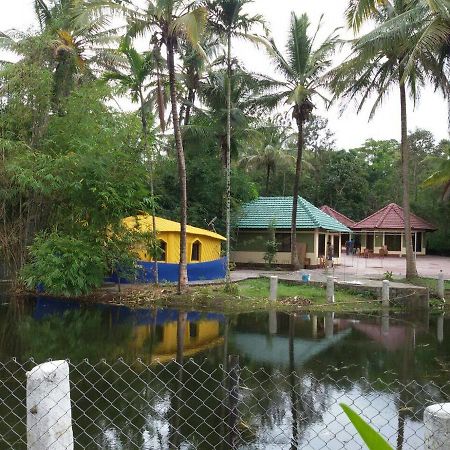 Coorg Anekad Jungle Stay Kushālnagar エクステリア 写真