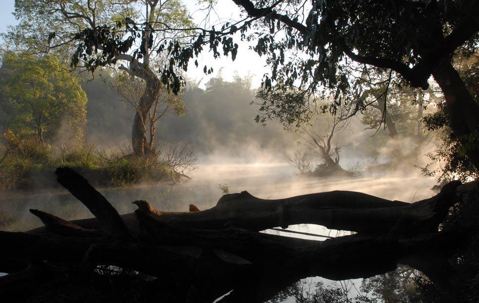 Coorg Anekad Jungle Stay Kushālnagar エクステリア 写真