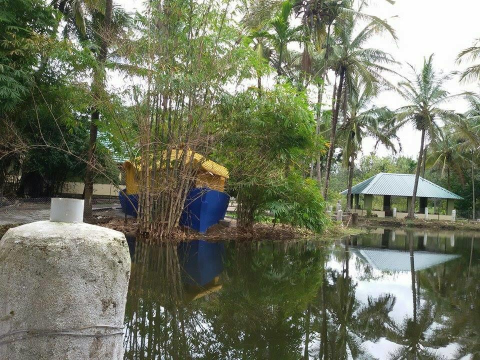 Coorg Anekad Jungle Stay Kushālnagar エクステリア 写真